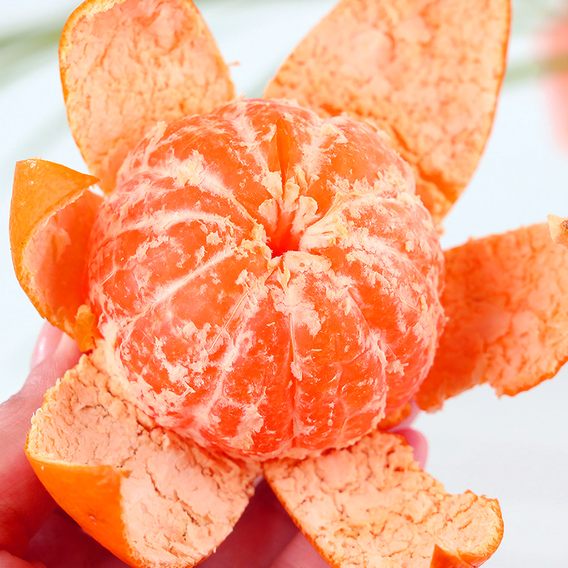 浙江临海涌泉蜜桔宫川蜜桔橘子桔子新鲜水果产地直发精品果