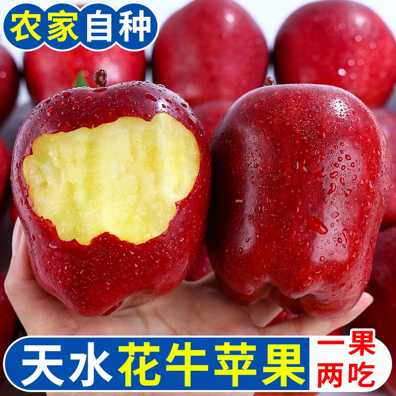 【纯甜】花牛苹果正宗特级大新鲜甘肃脆甜水果应季天水苹果蛇果批发