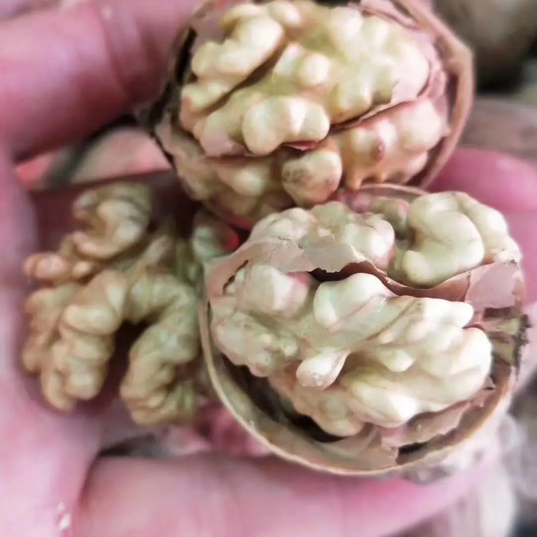 正宗阿克苏薄皮核桃原色黑皮原味 自然晾晒无工业 有空瘪壳