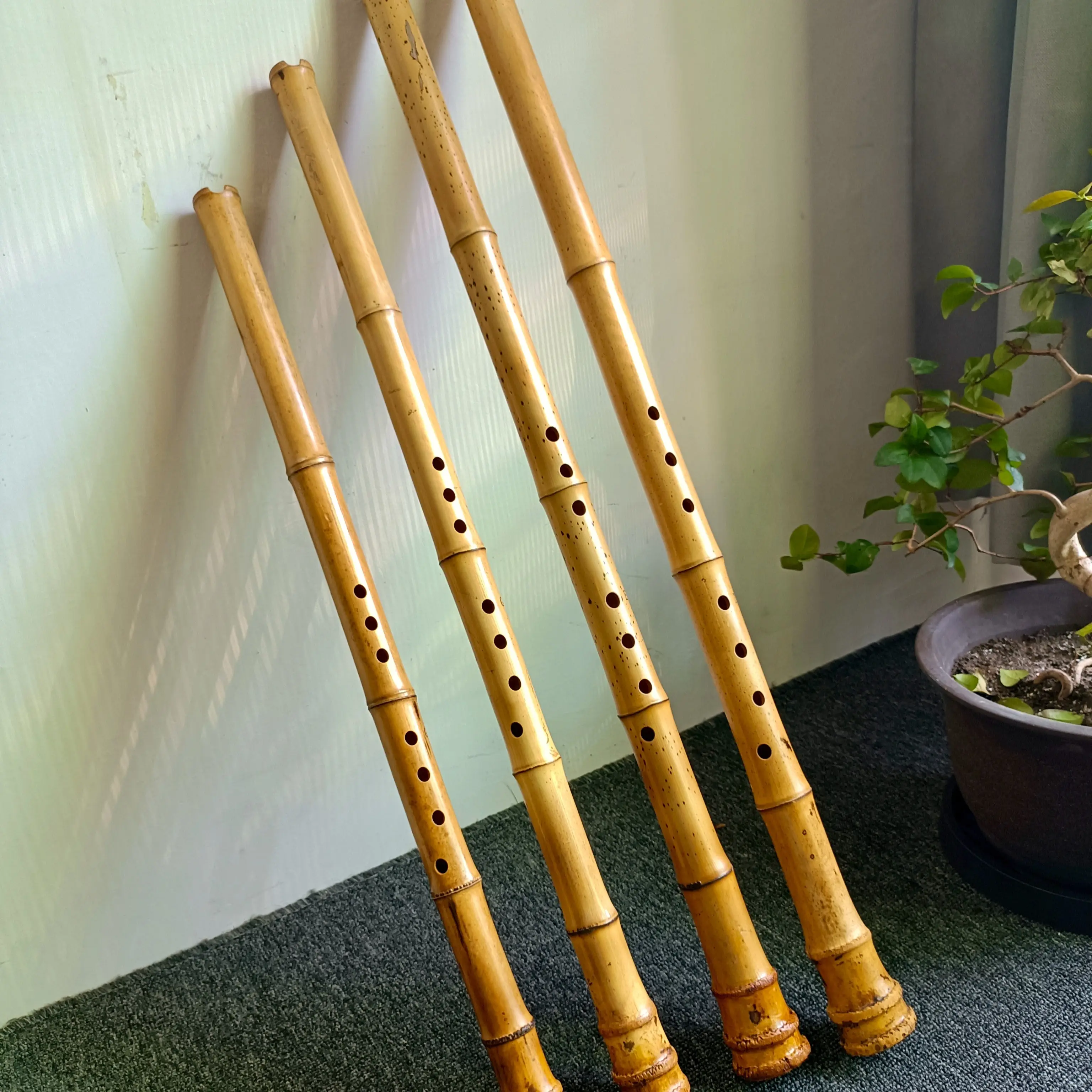 八孔正手通口广桂竹南箫大共鸣专业演奏乐器