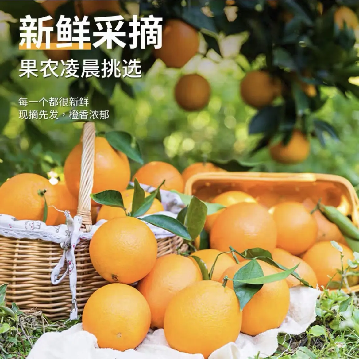 连江蓼沿脐橙新鲜现摘当季水果酸甜多汁