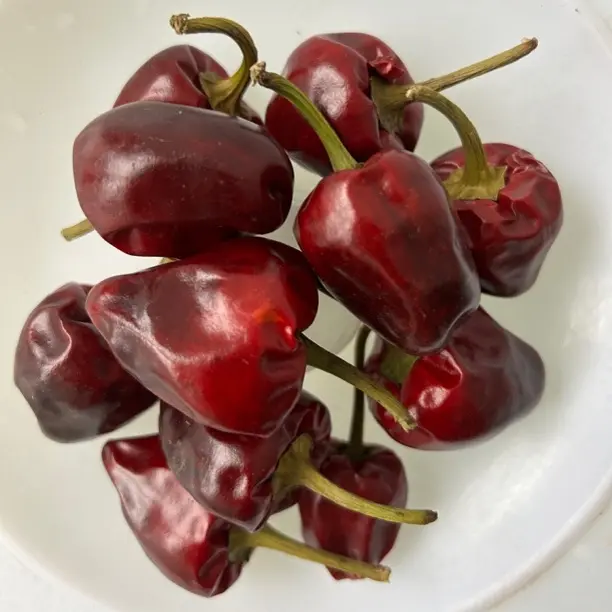 正宗贵州微辣特香家用商用干辣椒灯笼椒