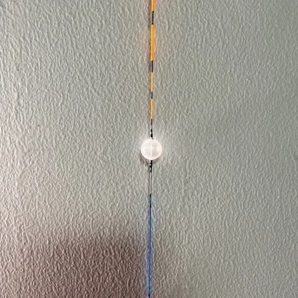 长20cm吃铅0.6克1.0加粗阴晴两用，手工高灵敏气泡漂传统野钓通用