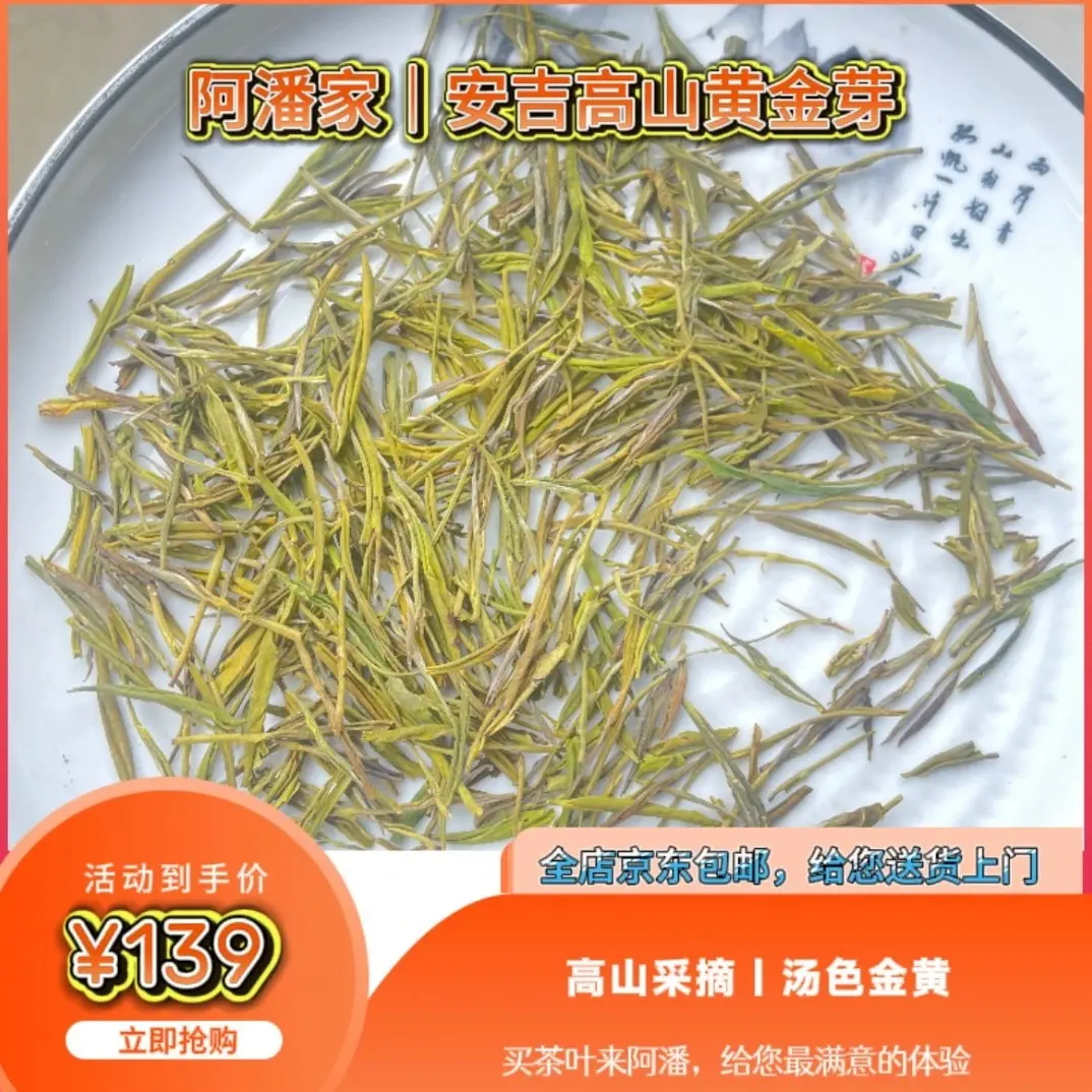 安吉原产地高山黄金叶味浓耐泡散发豆香花香新茶