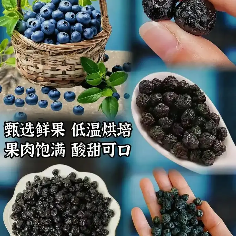 大兴安岭露天花果香蓝莓果干干新鲜现采脆甜无糖无添加可口包邮