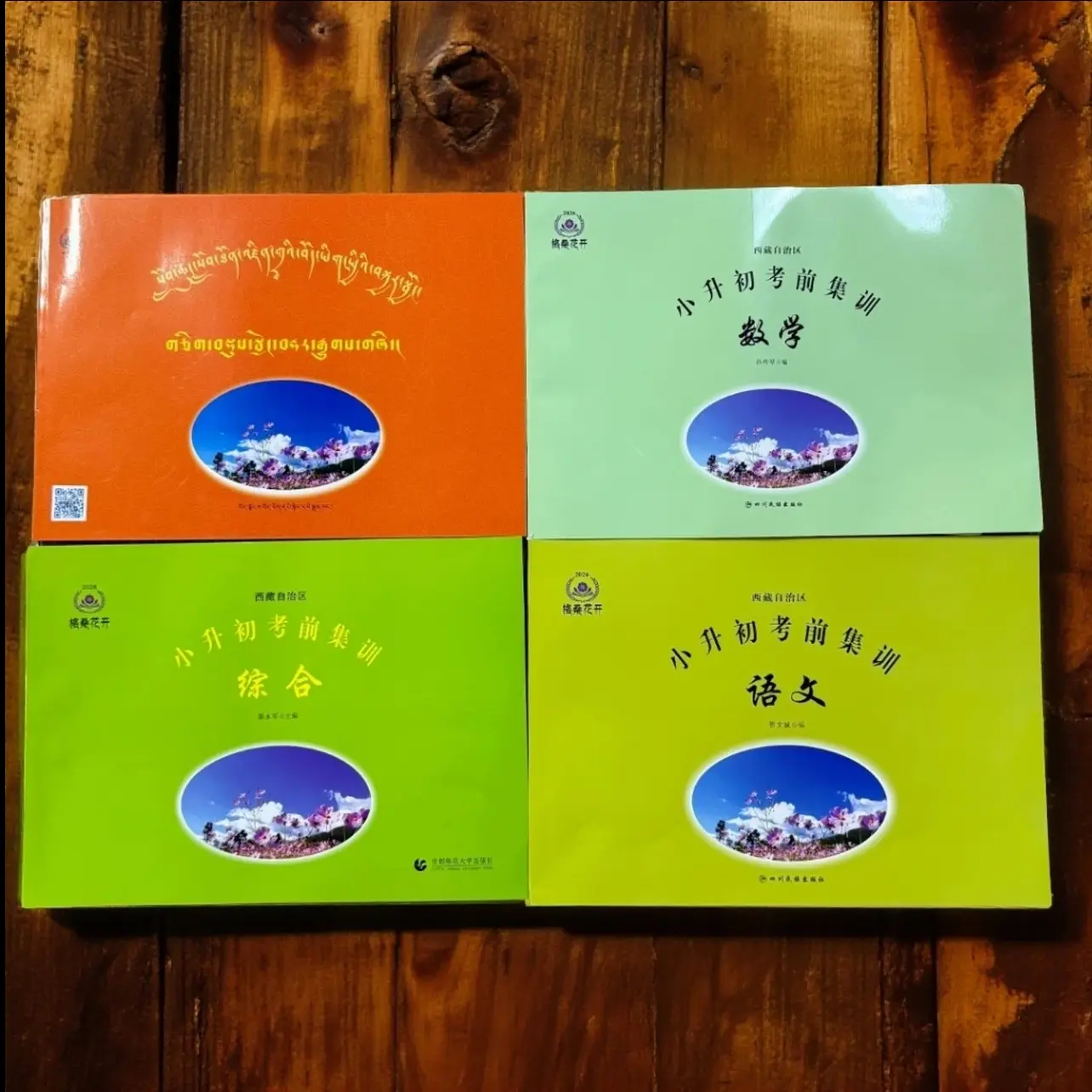 西藏自治区小升初考前集训书籍语文数学藏文综合复习资料格桑花开
