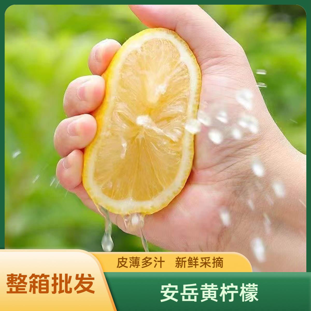 四川安岳黄柠檬新鲜包邮皮薄当季水果整箱批发奶茶店专用采摘产地