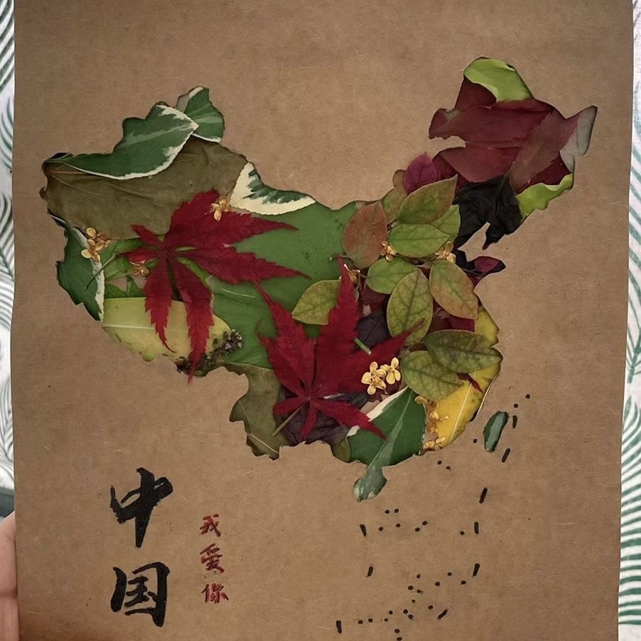 中国地图镂空diy树叶模板国庆立体画牛皮纸假期
