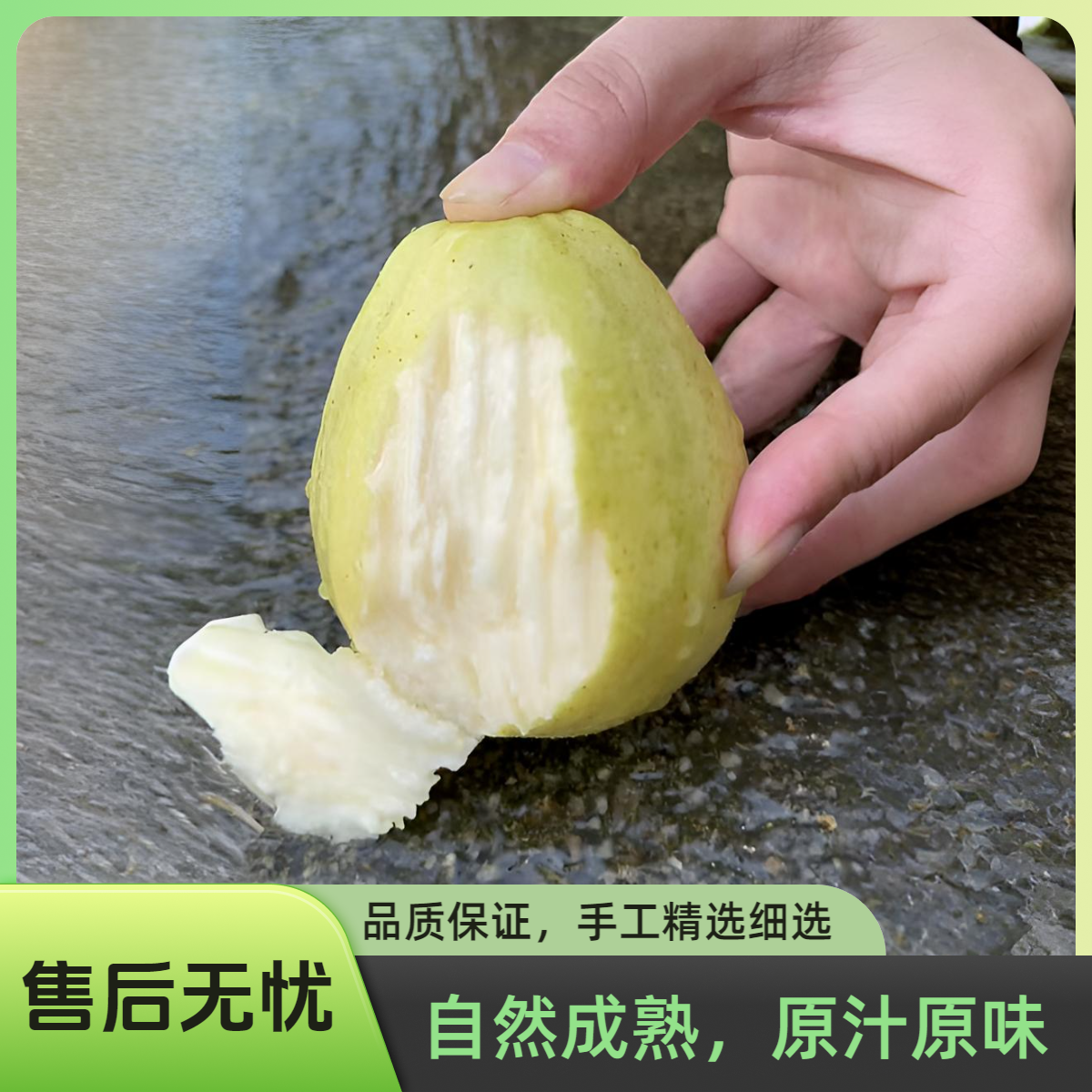 当季自家果园现摘现发新鲜软心番石榴鸡屎果软糯奶油红心白心芭乐