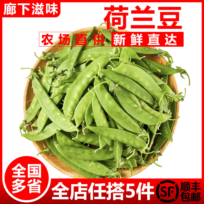 新鲜荷兰豆500g 新鲜蔬菜甜豆青豆菜豌豆