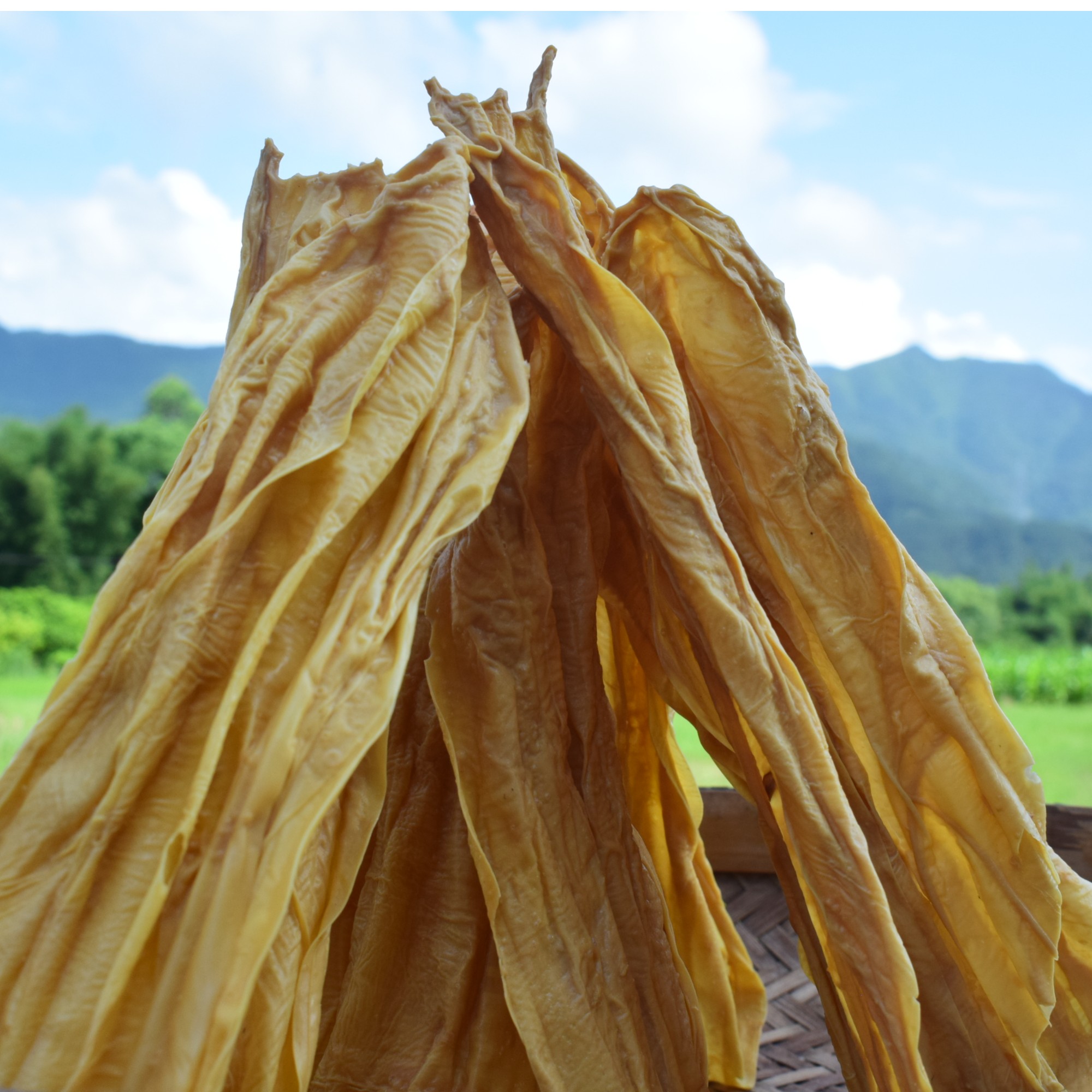 红花腐竹广西贺州钟山250克农家新鲜山泉水制作特产锅烧柴火传统