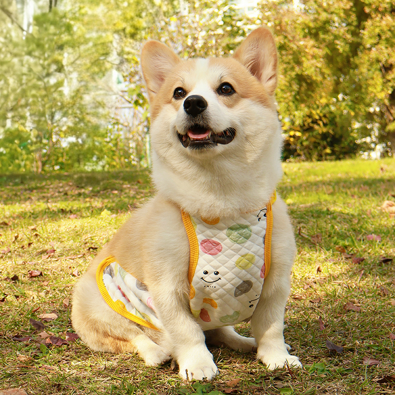 柯基柴犬泰迪比熊狗狗肚兜秋冬天夹棉保暖宠物肚兜防脏肚子防着凉