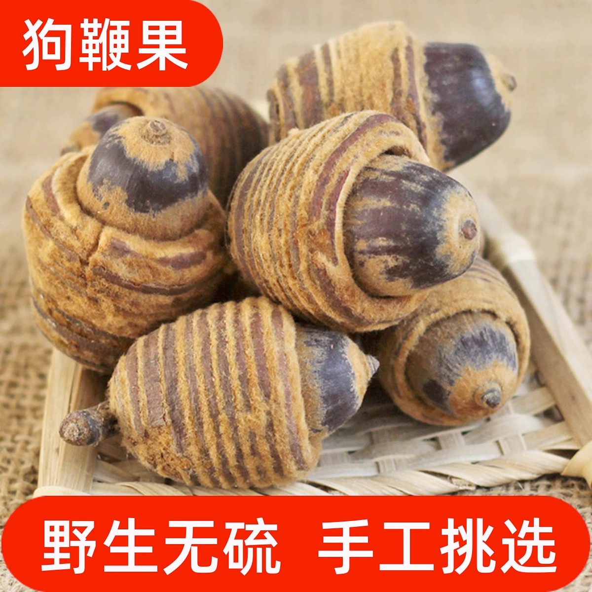 野生深山正宗狗鞭果正品毛毛果猪仔粒泡酒好山货散装250-500g杜仲