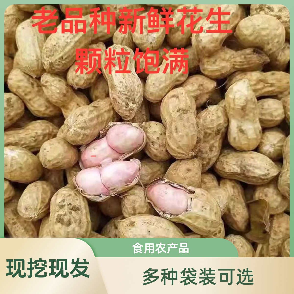 新鲜现挖2025年老品种秋季鲜花生农家现挖新鲜生湿花生现挖现发