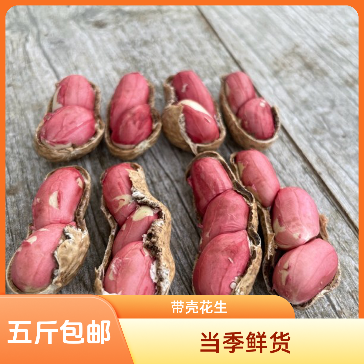 【水果花生】新鲜现挖带泥湿带壳可水煮现摘生吃生花生带壳鲜花生