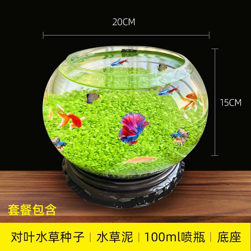 弥勒款生态草缸diy造景小型一体家用小型鱼缸办公室diy透明水培