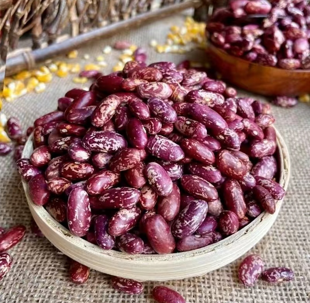 新豆1斤3斤5斤10斤贵州新花豆煮粥煮酸菜豆米等五谷杂粮