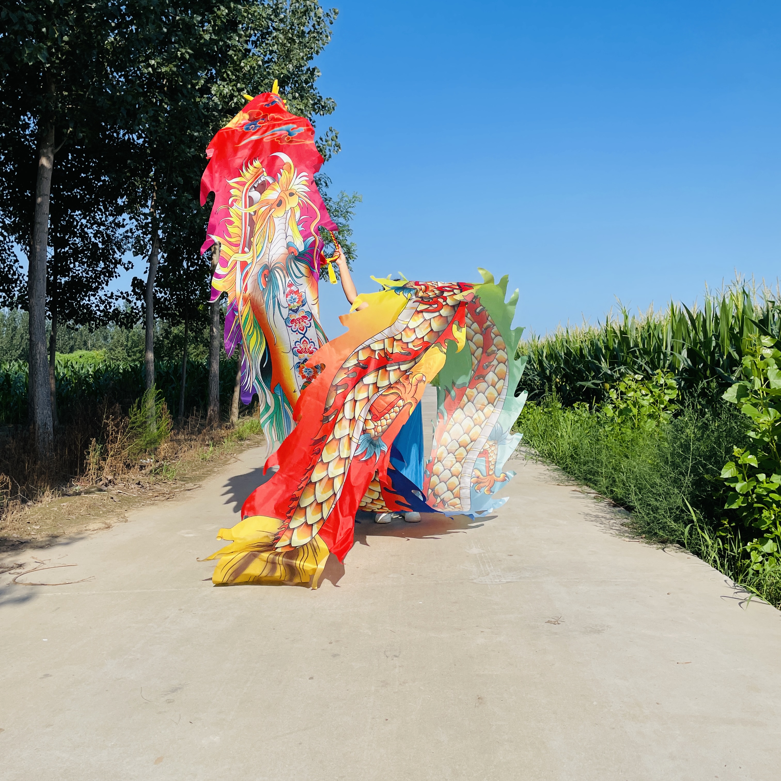 8号新款健身龙舞龙广场舞龙彩带彩绸可以水洗龙衣