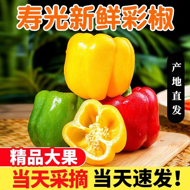 山东现摘五彩椒水果椒（净重1/5斤）新鲜采摘营养生吃
