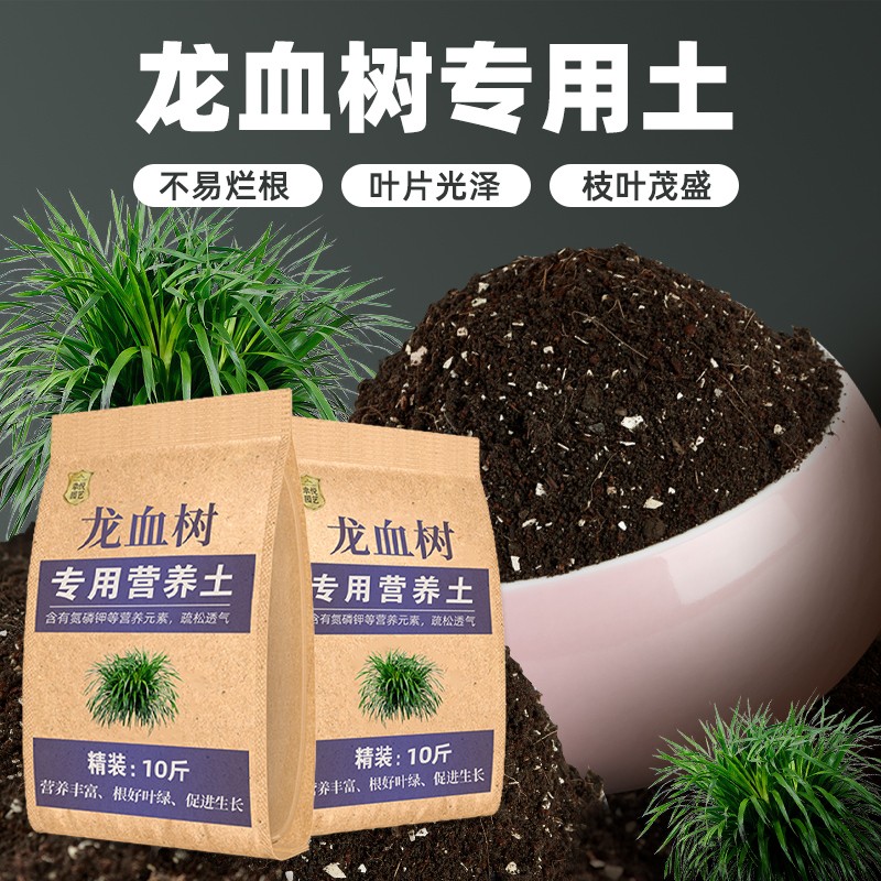 栽种龙血树专用土壤肥料通用型混合专用通用花土蓬松泥土无菌土壤