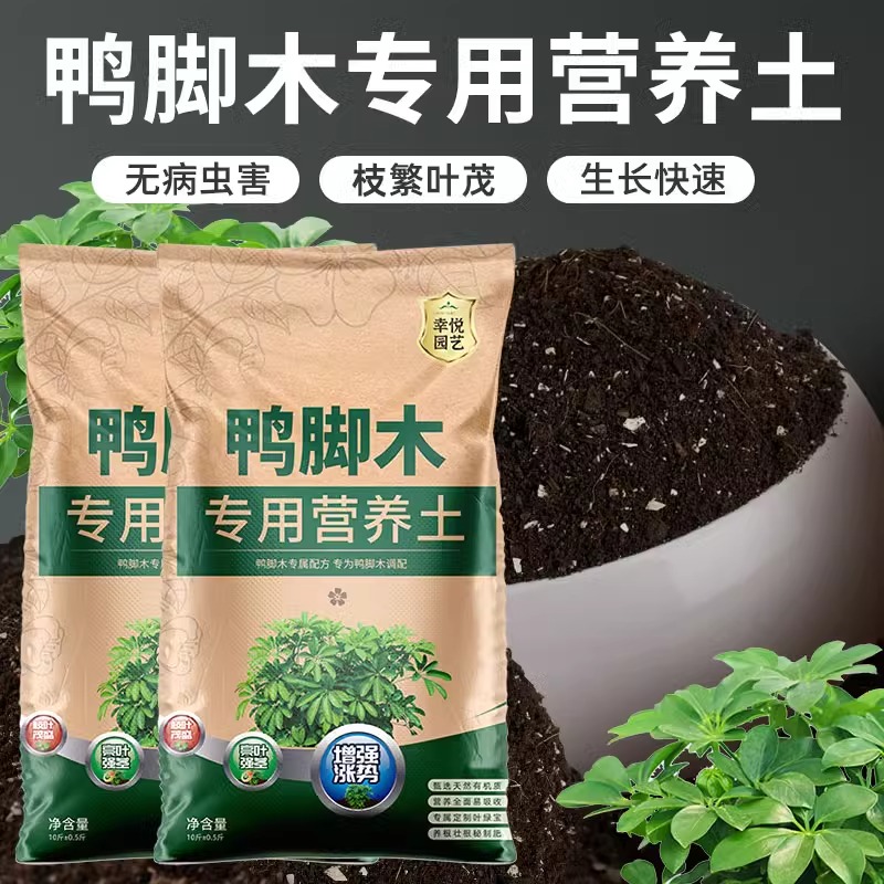 鸭脚木专用营养土花土七叶莲通用土壤鸭爪木鸭掌木泥土种植土肥料