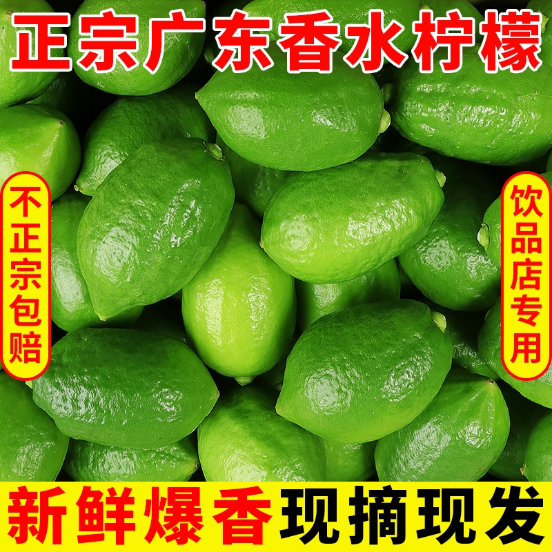 广东香水柠檬青柠新鲜采摘果园饮品直发现摘专用手打柠檬茶鲜果