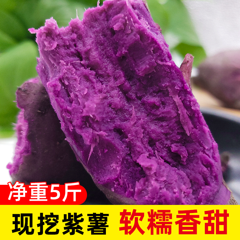 新鲜紫薯 农家种植红薯现挖番薯地瓜粉糯香甜5斤装