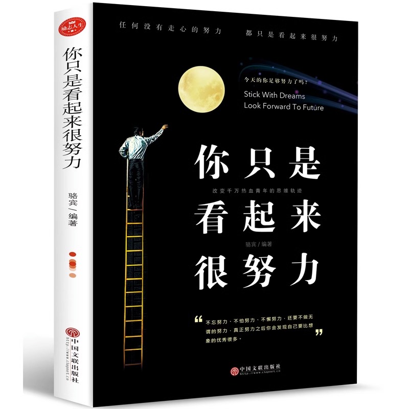 你只是看起来很努力青春励志书籍你不努力谁也给不了你想要的生活