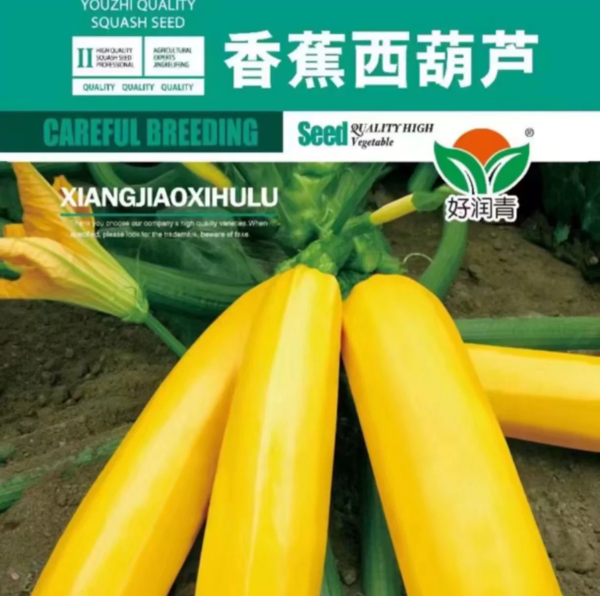 香蕉西葫芦种子一袋