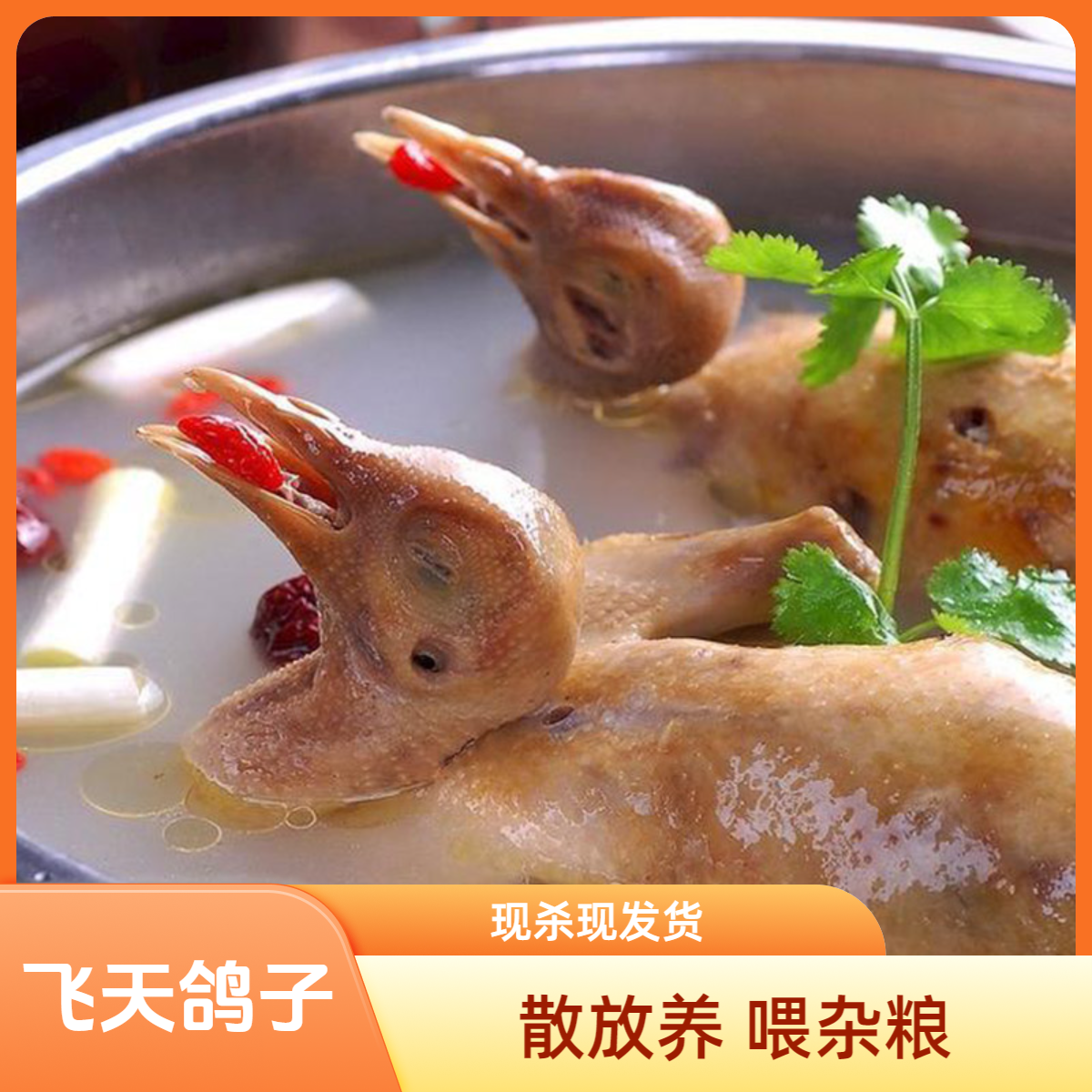 【拍4发5】 飞天鸽土鸽子肉新鲜土鸽子净重250g起煲汤炖汤营养滋补