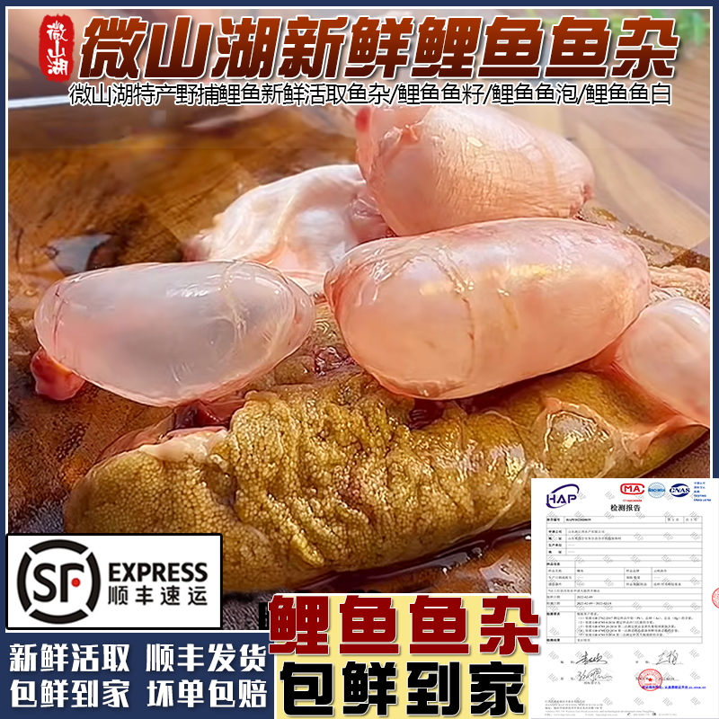 微山湖新鲜鱼杂鲤鱼籽鱼泡鱼白鱼子鱼鳔鱼蛋鱼肚鱼油批发顺丰鱼杂