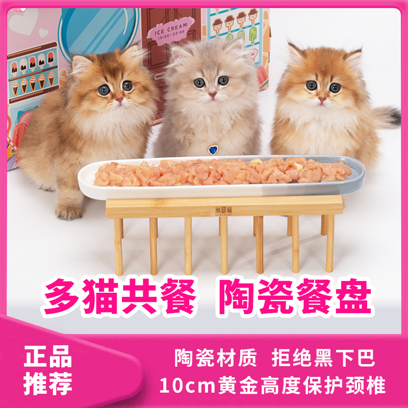 仙女猫宠物陶瓷餐盘猫碗多猫家庭猫食盆高脚防滑防打翻黑下巴小猫