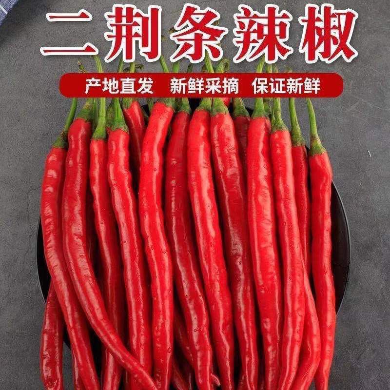 新鲜现摘红辣椒二荆条红线椒尖椒中辣青线辣椒批发可做剁椒酱泡椒