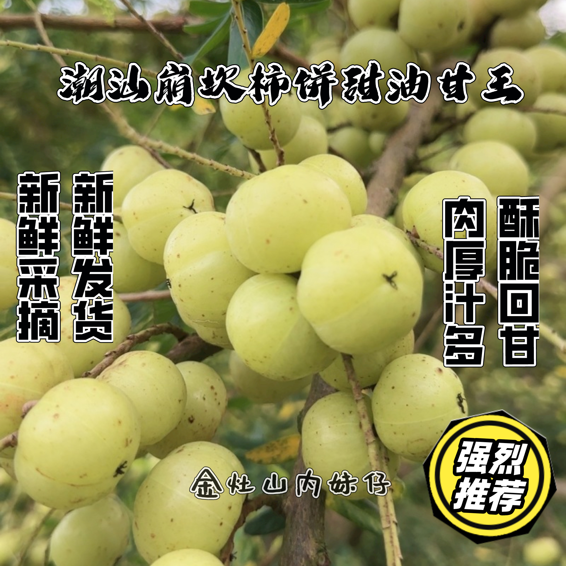 潮汕油柑王柿饼甜油甘果新果甜种油甘余甘果丙甜油柑1斤装