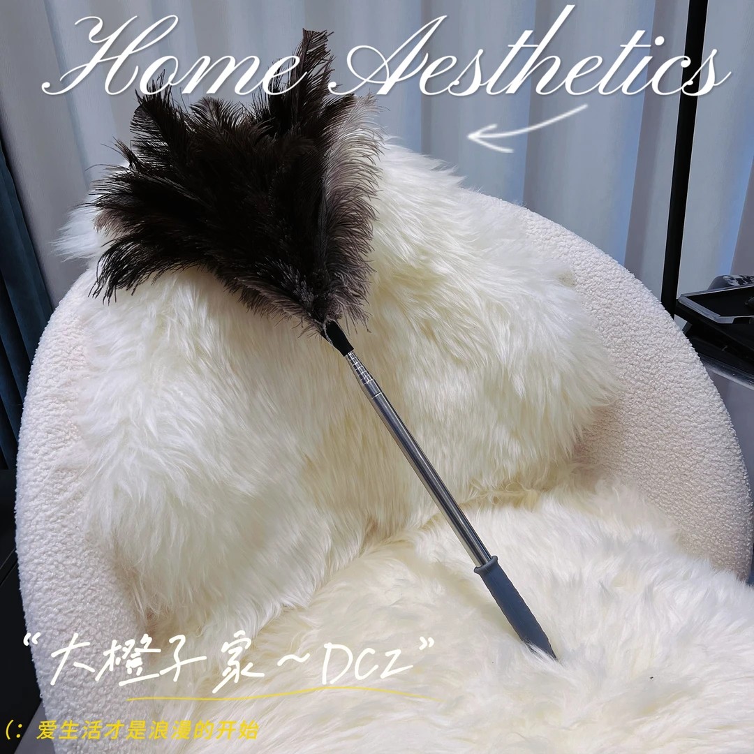 鸵鸟毛扫灰掸子可伸缩家用不易掉毛除尘神器除尘掸子鸵鸟毛掸子