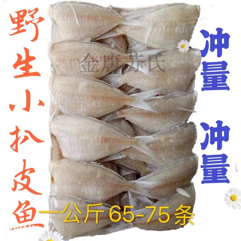 苏州发货 马面鱼 耗儿鱼 玻璃鱼 无头鱼 2斤一包全国包邮