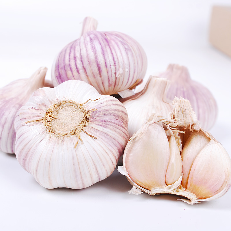 山东大蒜种子 大蒜头四季阳台盆栽蔬菜孑