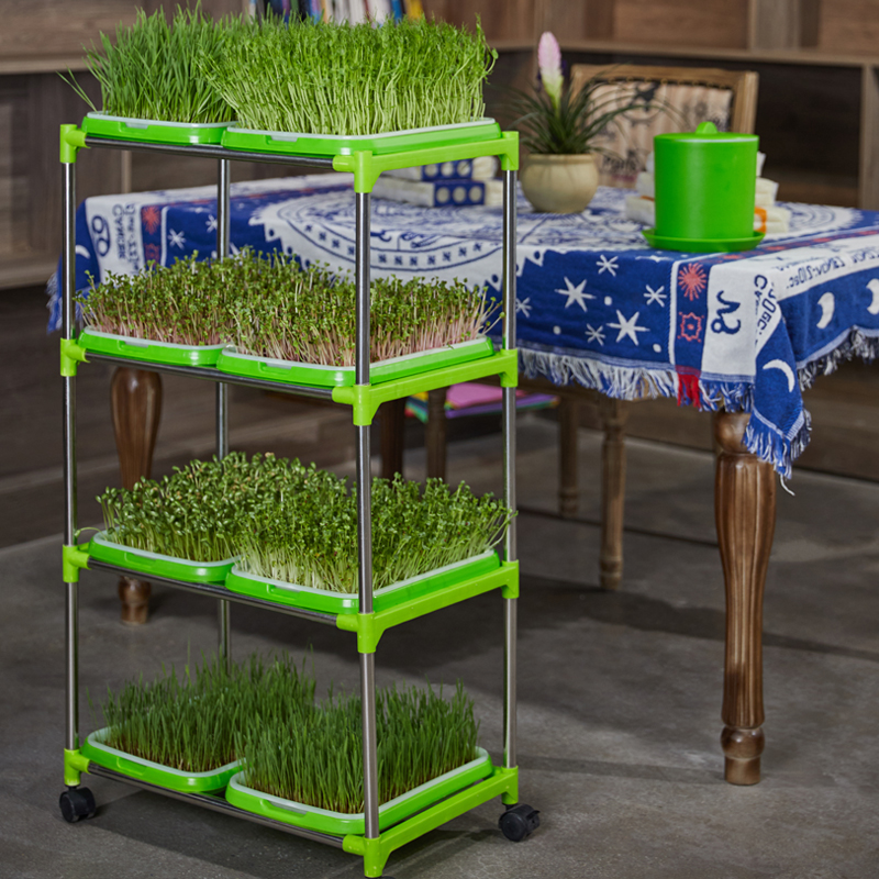 乐众青山水培芽苗菜自来水种菜工具无土栽培豆芽盆育苗盘纸上种菜