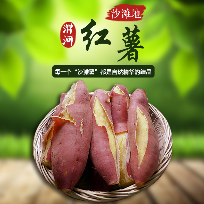 陕西板栗红薯沙地地瓜软糯香甜干面无丝无渣