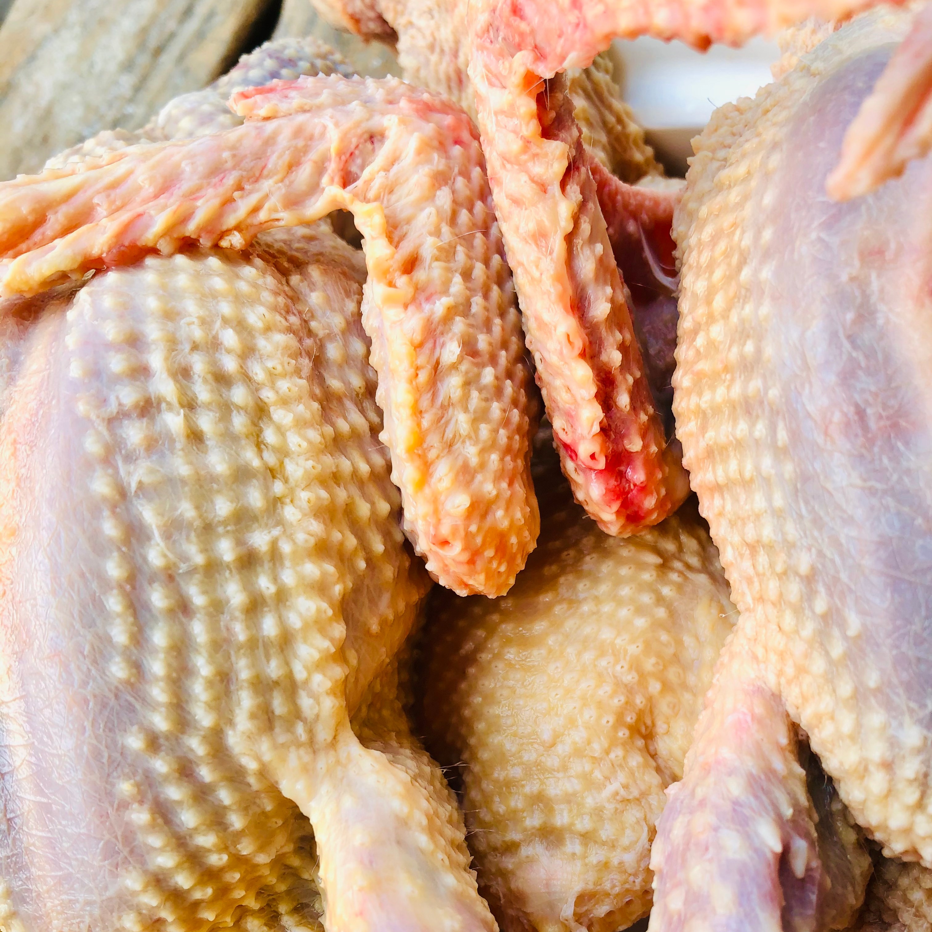 【三年以上老鸽子】2只起装 单只净重8两 现宰发货 坏单包赔