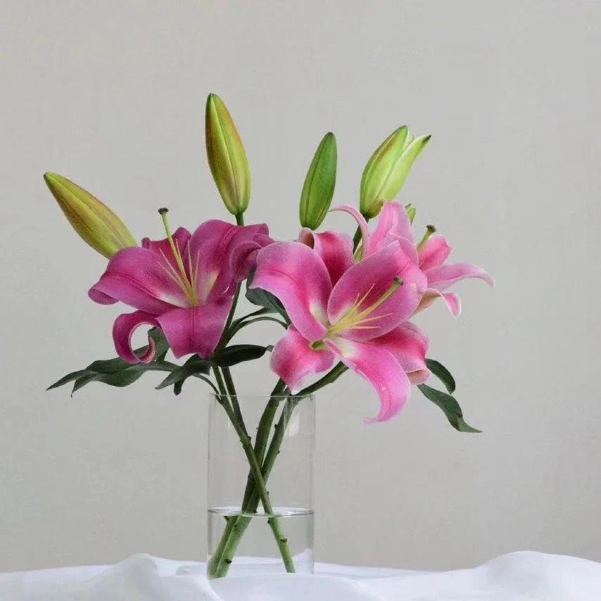 荷佳鲜花    香水百合一份