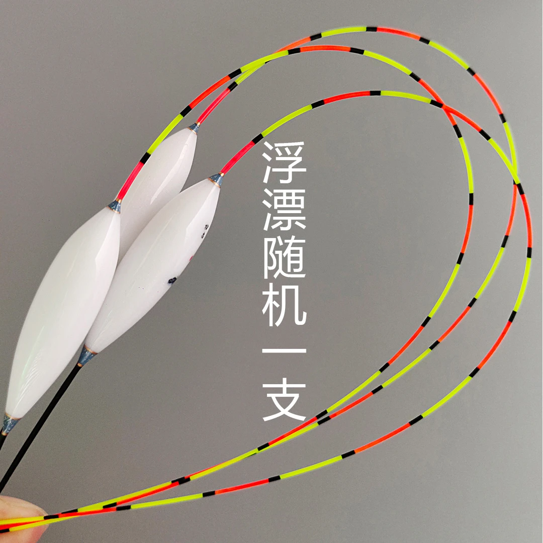 小生浮漂随机一支