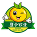晓晓哥水果旗舰店