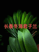 绿园区冬海君子兰种植基地的小店