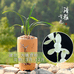 清雅兰园漳州清雅兰花有限公司绿植专卖店