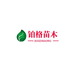 沭阳县扎下镇铂格苗木场的小店