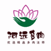 阿远多肉