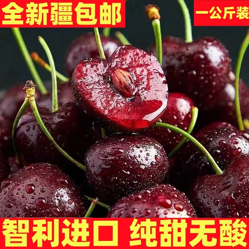 【全疆包邮】1公斤净重智利桑提娜空运车厘子新鲜当季