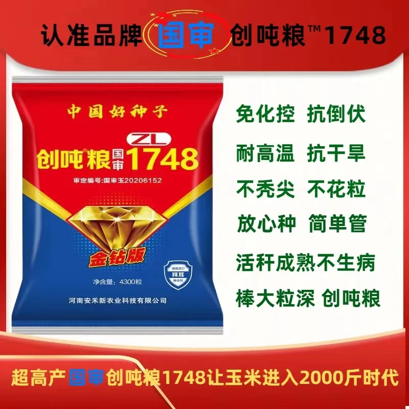 国审高产玉米种超大棒抗旱耐涝高抗倒高抗锈病玉米种子创吨粮1748