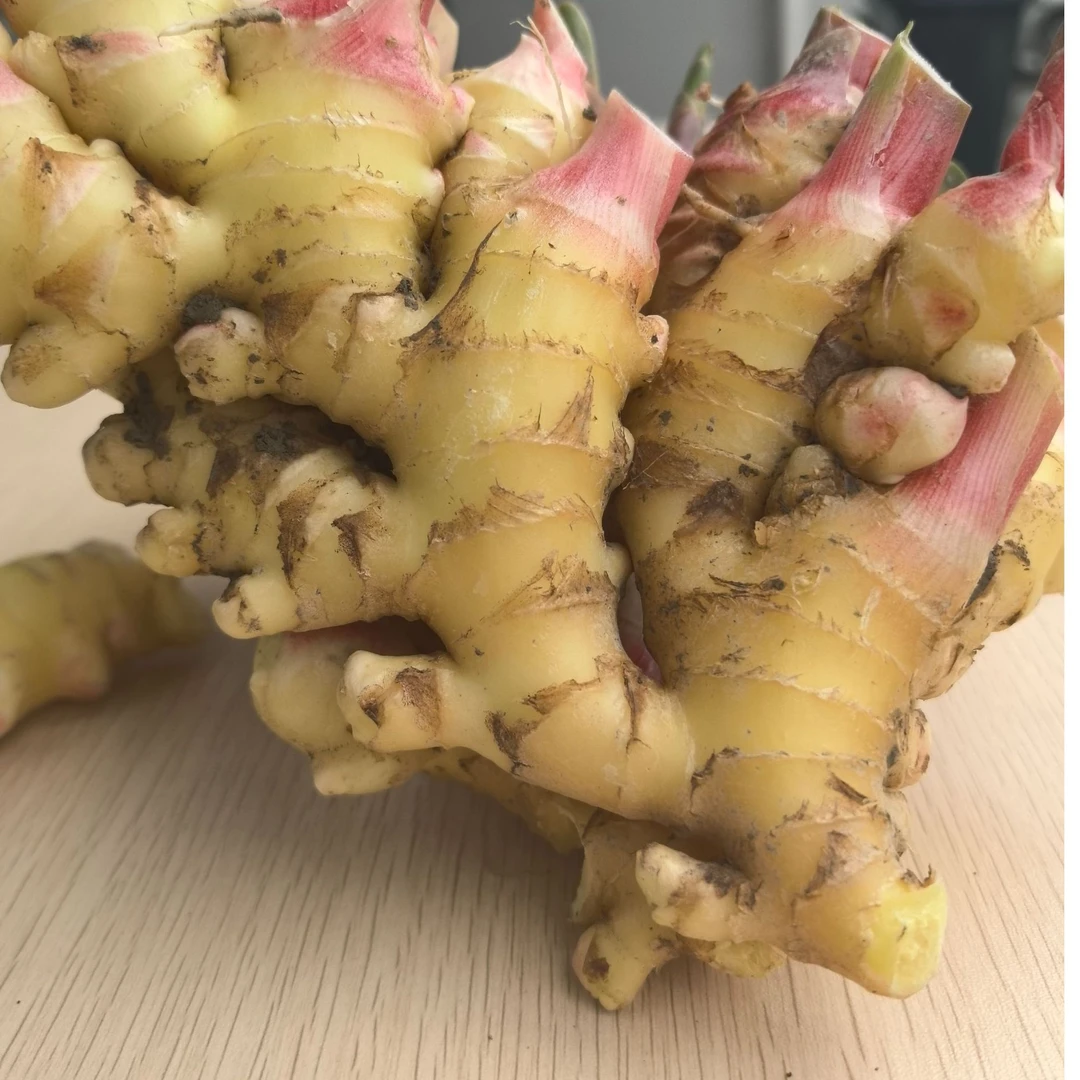 桑植土特产栗洞村农家原生态凤头姜